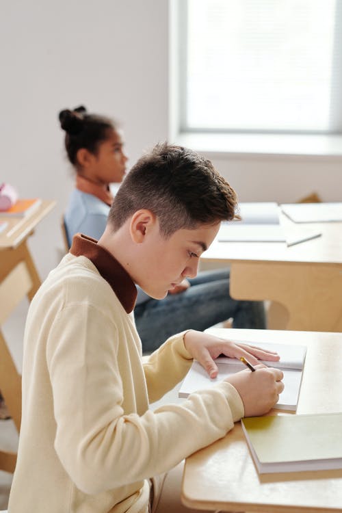 Students in class